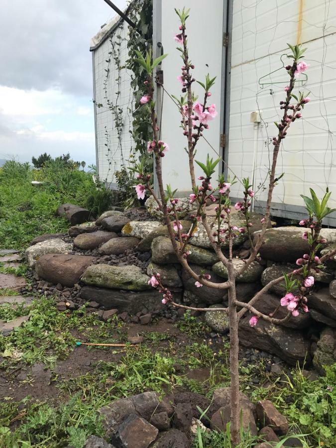 Natura-Eco Farm Kültér fotó