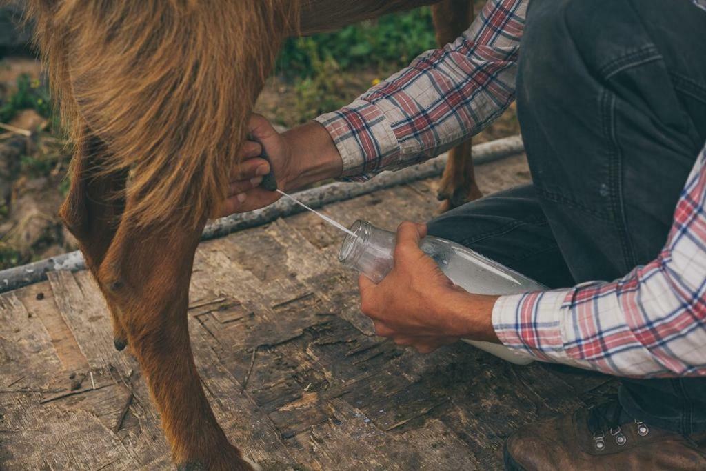 Natura-Eco Farm Kültér fotó